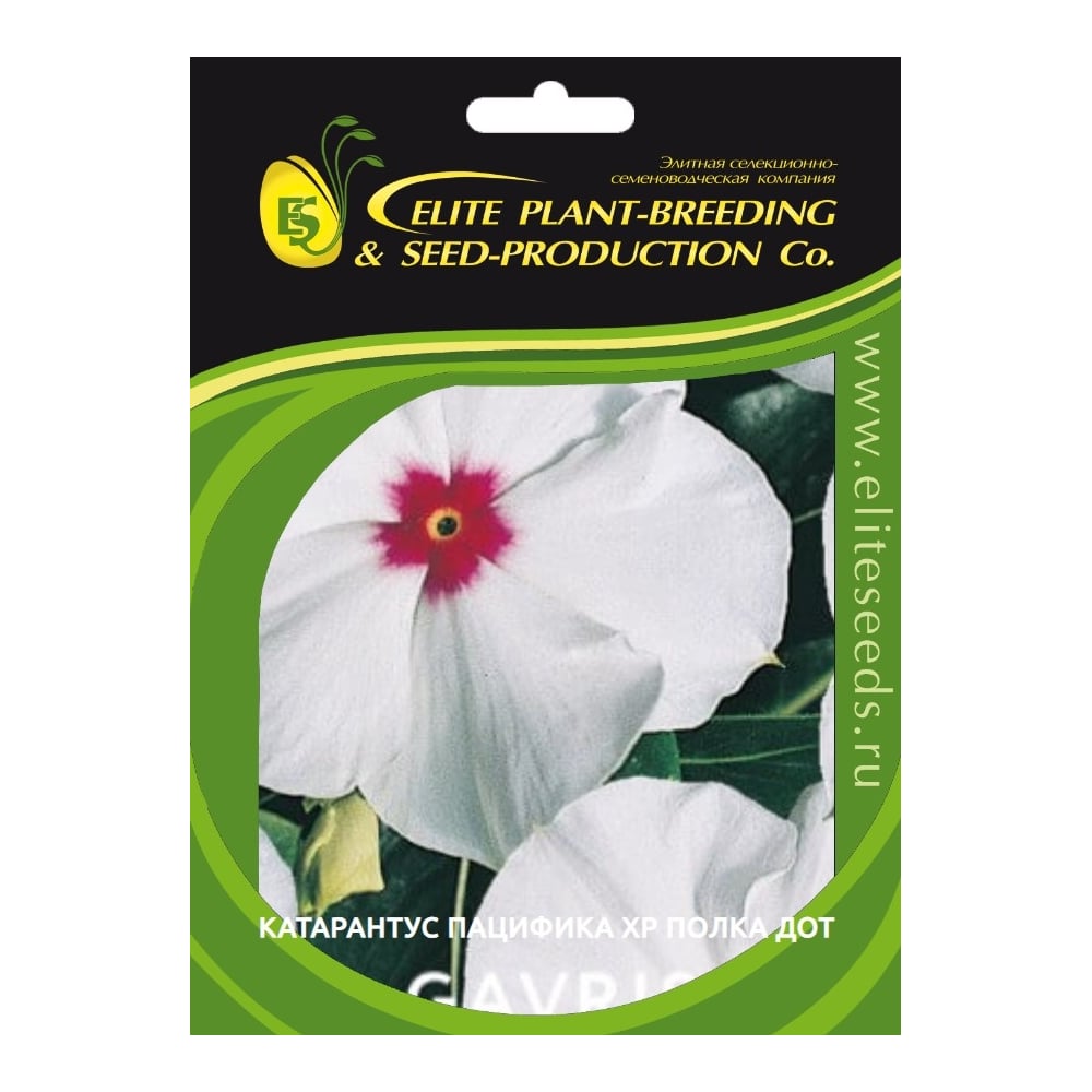 Катарантус гибридный Пацифика ХР Полка Дот ELITE PLANT-BREEDING & SEED ...