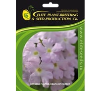 Вербена гибридная Кварц XP Силвер ELITE PLANT-BREEDING & SEED PRODUCTION Co. 250 шт ЭС 1910697