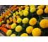 Бархатцы пр. махр Тайшан МИКС F1 ELITE PLANT-BREEDING & SEED PRODUCTION Co. 20 шт ЭС мини 1026993771 2