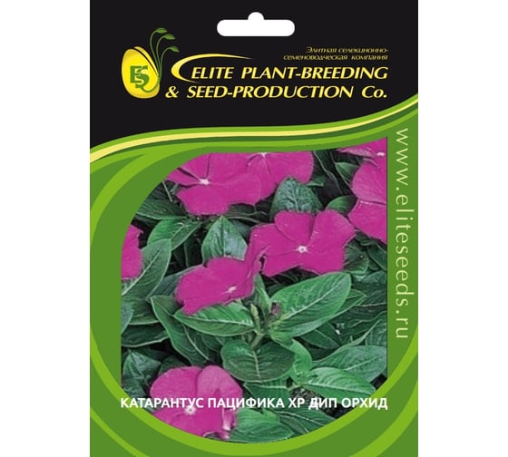Катарантус гибридный Пацифика ХР Дип Орхид ELITE PLANT-BREEDING & SEED PRODUCTION Co. 500 шт ЭС 1910702 1