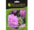 Петуния многоцвет махр. Дуо Лавендер F1 ELITE PLANT-BREEDING & SEED PRODUCTION Co. 50 шт ЭС мини 1026993802 1
