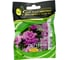 Петуния многоцвет махр. Дуо Лавендер F1 ELITE PLANT-BREEDING & SEED PRODUCTION Co. 50 шт ЭС мини 1026993802 5