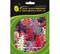 Сальвия блестящая Виста МИКС ELITE PLANT-BREEDING & SEED PRODUCTION Co. 500 шт ЭС 1912237867