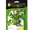 Семена розмарина Бирюса ELITE PLANT-BREEDING & SEED PRODUCTION Co. 50 г ЭС 1026995425 1