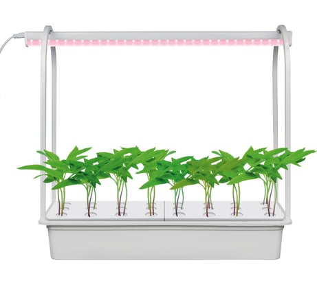 Набор для гидропоники Uniel ULT-P44D-10W/SPLE IP20 AQUA SIMPLE WHITE Минисад AQUASIMPLE UL-00004499