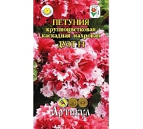 Петуния крупноцветная каскадная махровая Артикул Дуэт F1 10 шт. /одн/евро/ (кораллово-белая, h=40 см, d=10-12 см) 4630009390275