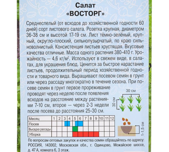 Салат Артикул Восторг 0,5 г /евро/ + (среднеспелый) 4630009396666