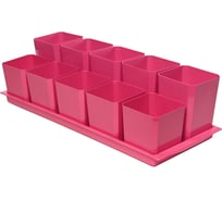 Набор горшков для рассады ПЕЛИКАН 10 мест, 0.5 л+0.75 л, с поддоном, французский розовый 0342 ФР0342