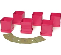 Набор горшков для рассады ПЕЛИКАН 6шт 0,5л. 0338 французский розовый ФР0338