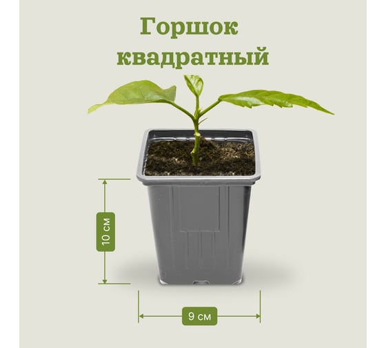 Горшок квадратный формованный UOKSA 0,55 л, 9х9см, 10 шт 1374