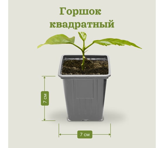 Горшок квадратный формованный UOKSA 0.2 л, 7х7см, 10 шт 1350