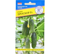 Огурец Престиж-Семена Проскор F1 00036543