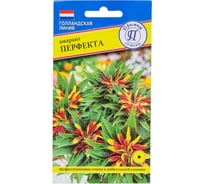 Амарант "Перфекта" Престиж-Семена 00003460