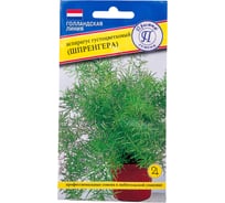 Аспарагус густоцветковый (Шпренгера) Престиж-Семена 00021623