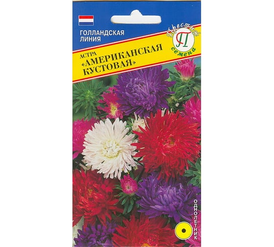 Астра "Американская кустовая" Престиж-Семена 00017909 1