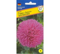 Астра "Джуэл" Пурпурит Престиж-Семена 00003507