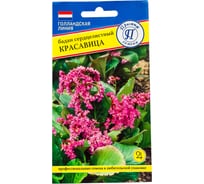 Бадан "Красавица" Престиж-Семена 00007317