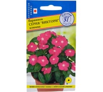 Барвинок "Виктори" Клюква Престиж-Семена 00003593