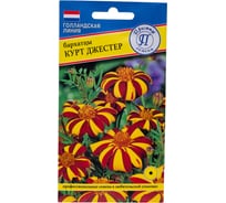 Бархатцы откл. Французские "Курт Джестер" Престиж-Семена 00027017
