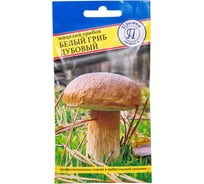Белый гриб дубовый Престиж-Семена 00018944