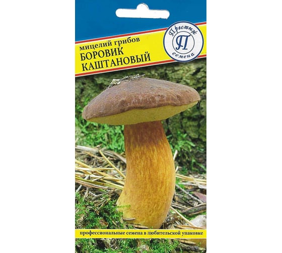Боровик каштановый Престиж-Семена 00034165 1