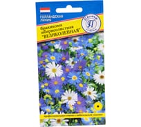 Брахикома "Великолепная" Престиж-Семена 00019862