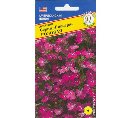 Лобелия кустовая Престиж-Семена Ривьера розовая 00036742