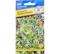 Восковник Пурпурный Престиж-Семена 00027032