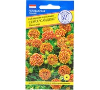 Гайлардия красивая "Санденс" Биколор Престиж-Семена 00009779