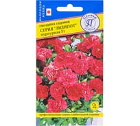 Гвоздика садов. "Лилипот" Пурпурная F1 Престиж-Семена 00003666