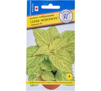 Колеус Фейерверк Престиж-Семена Лимон F1 00003712