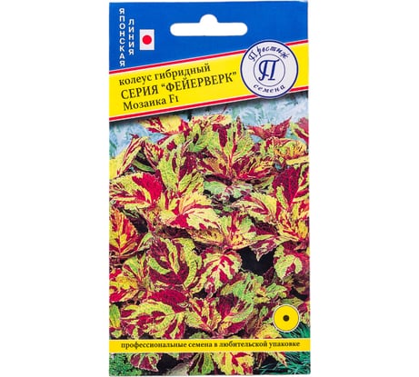Колеус Фейерверк Престиж-Семена Мозаика F1 00003714