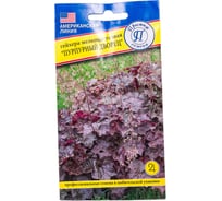 Гейхера "Пурпурный дворец" Престиж-Семена 00036736