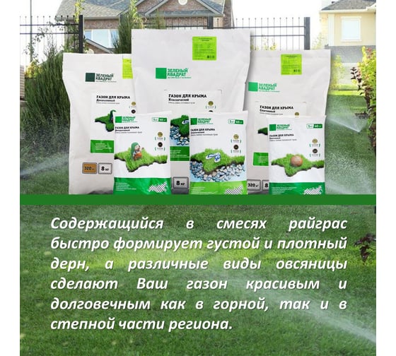 Семена Зеленый Квадрат Классический газон для Крыма 8 кг климатически адаптированный состав 4607160332642