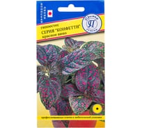 Гипоестес "Конфетти" Красное вино Престиж-Семена 00036763