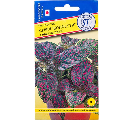 Гипоестес "Конфетти" Красное вино Престиж-Семена 00036763 1