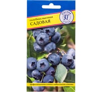 Голубика Садовая Престиж-Семена 00035888