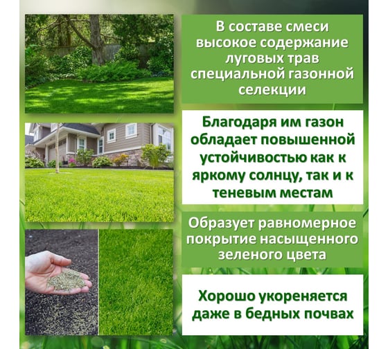 Семена Зеленый ковер КОТТЕДЖ 8 кг, декоративная смесь для загородного озеленения 4607160330051