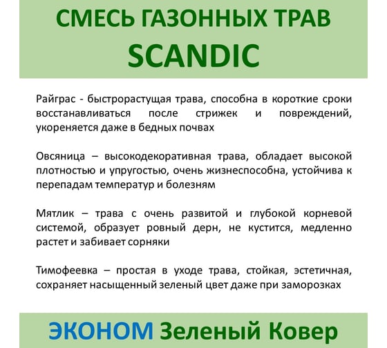 Семена газона Зеленый Ковер SCANDIC 0.9 кг для быстрого создания практичной зеленой лужайки 4607160332956