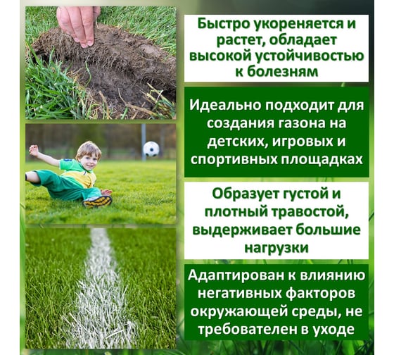 Семена газона Зеленый Ковер Спортсмен 2 кг для создания устойчивых к нагрузкам газонов 4607160330044