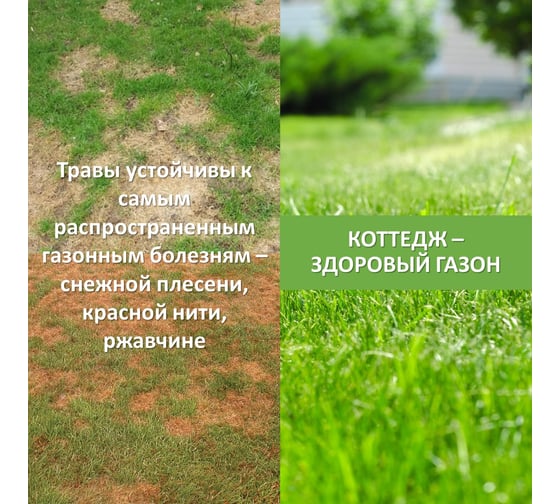 Семена газона Зеленый Ковер КОТТЕДЖ 2 кг, декоративная смесь для загородного озеленения 4607160330068