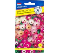 Доротеантус маргаритковый Смесь Престиж-Семена 00009808