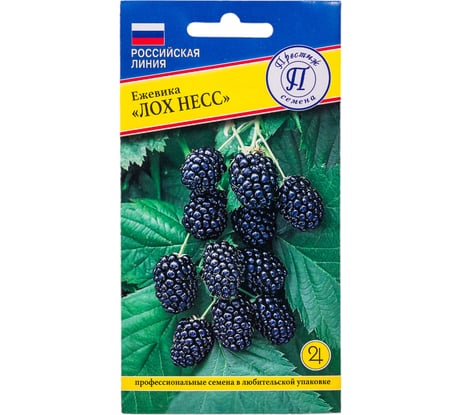 Ежевика ремонтантная "Лох Несс" Престиж-Семена 00035686