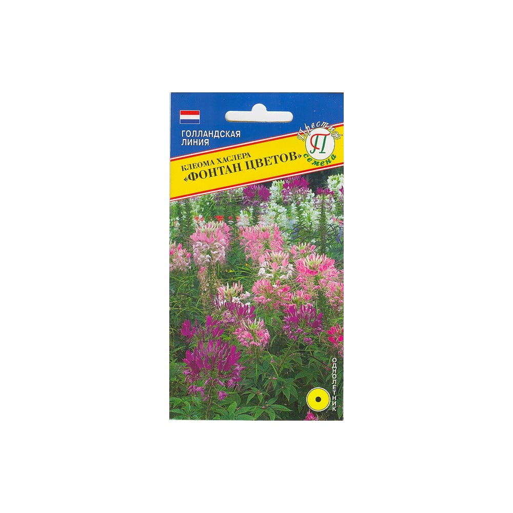 Клеома хаслера Престиж-Семена Фонтан цветов 00009804 - выгодная цена ...
