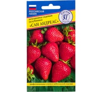 Земляника рем крупная "Сан Андреасс" Престиж-Семена 00035687