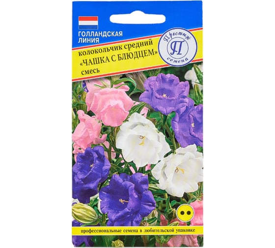 Колокольчик средний Престиж-Семена Чашка с блюдцем смесь 00032170 1