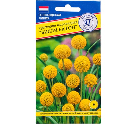Краспедия шаровидная Престиж-Семена Билли Батон 00017894