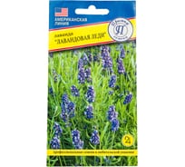 Лаванда Престиж-Семена Лавандовая леди 00003732