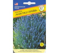 Лаванда Манстид Стрейн Престиж-Семена 00003733