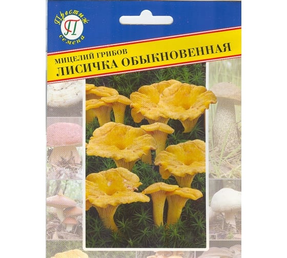 Лисичка обыкновенная Престиж-Семена 00018949